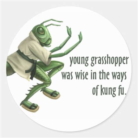 Kung Fu: Kung Fu Grasshopper Quotes