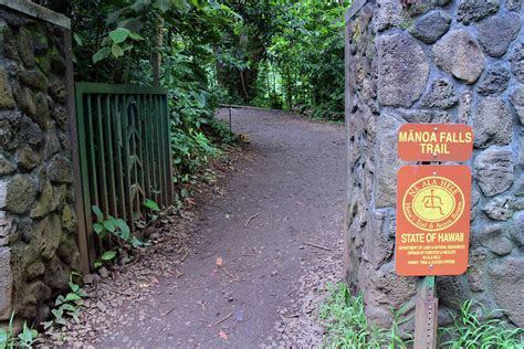 What you didn’t know about Hawaii's Manoa Falls Trail