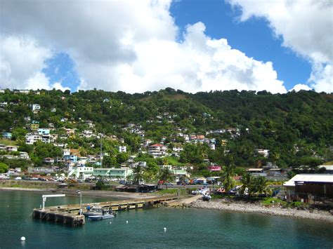 boats are docked at the dock in front of a hill with houses and trees on it