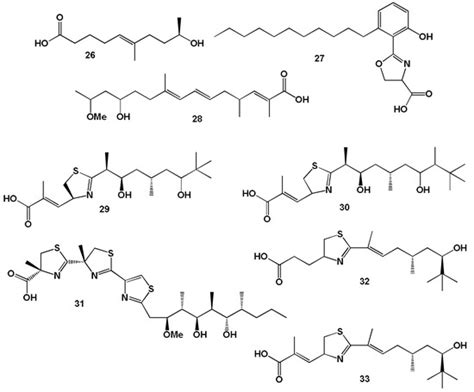 Hydrobiology | An Open Access Journal from MDPI