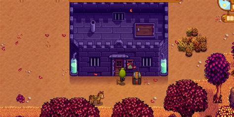 Stardew Valley: A Complete Guide To The Slime Hutch