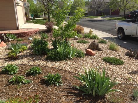 Low Maintenance Xeriscape Front Yard: A Joyful And Sustainable Solution