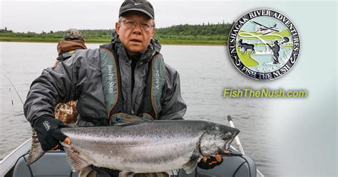 King salmon fishing in Alaska - Nushagak River Adventures