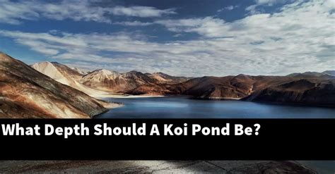 What Depth Should A Koi Pond Be? [2024 Guide] - Gold Koi Fish