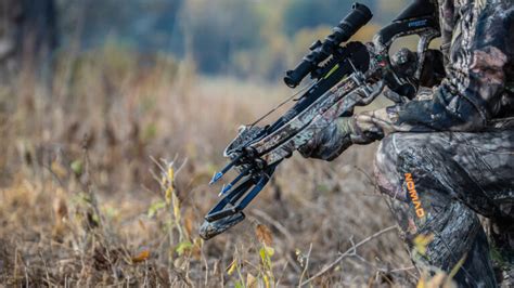 Crossbow hunting: basic tips to get started | SAIL Blog