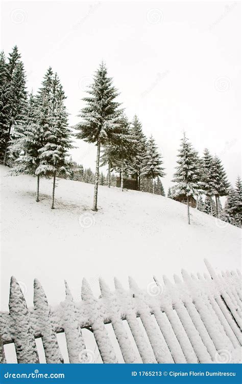 Winter hill stock image. Image of snowy, adventure, trees - 1765213