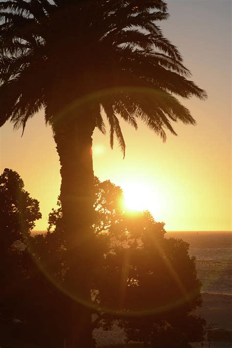 Camps Bay Sunset Photograph by Sarah M Taylor - Fine Art America