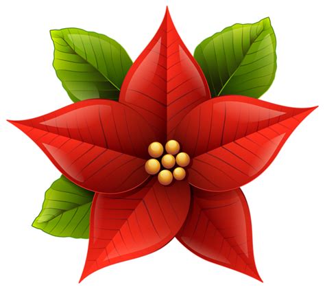 Christmas Poinsettia PNG Clip-Art Image | Christmas poinsettia, Christmas flowers, Xmas flowers