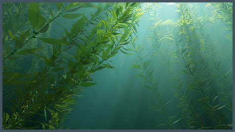 ArtStation - Kelp Forest Environment (procedural) | Game Assets