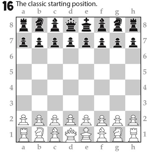 How To Setup Wizard Chess Board - Haiper