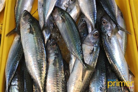 Market Guide to Common Fishes in the Philippines | Philippine Primer