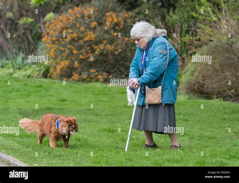 Old lady walking stick hi-res stock photography and images - Alamy