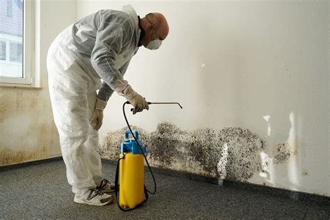 10 Ways to Prevent Mold in the Basement