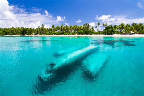 Some of the Marshall Islands are 10 to 1000 times more radioactive than ...