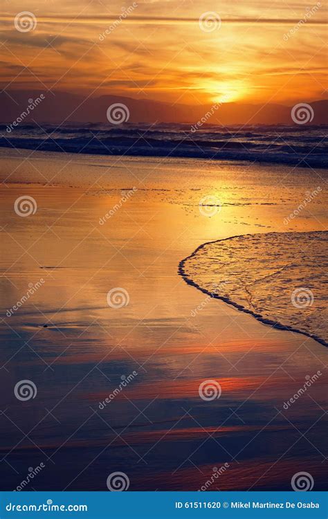 Beach shore at sunset stock photo. Image of light, waves - 61511620