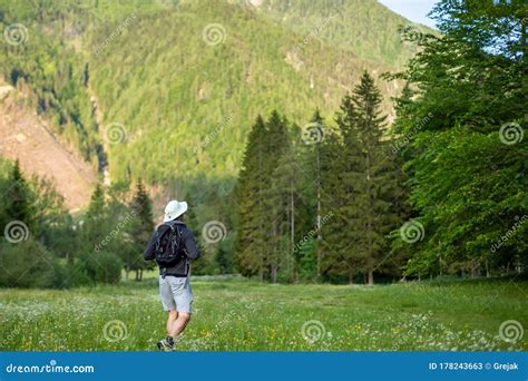 Man hiking in forest stock image. Image of nature, happy - 178243663