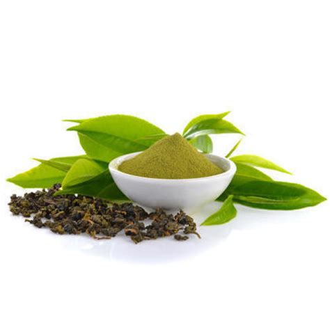 Green Tea Extract - Biotan Enterprises