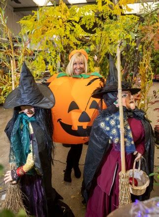 Halloween Celebrations Popular Garden Centre Will Editorial Stock Photo - Stock Image | Shutterstock