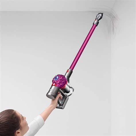 Dyson Pet Hair Vacuum Reviews | Pets Animals US