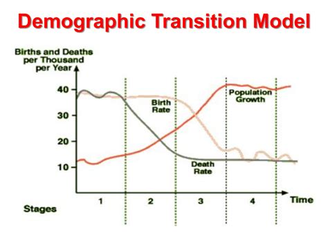 Demographic Transition Model Graph