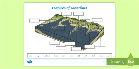 Features of Coastline Labeling Worksheet - PlanIt - Geography Year 6 - Our