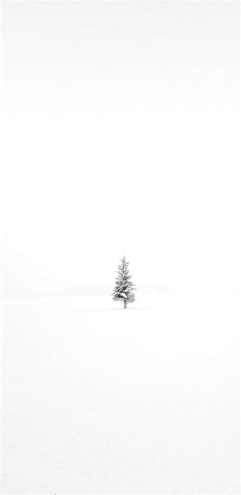 Minimalist Winter, landscape, minimal, snow, tree, white, world, HD phone wallpaper | Peakpx