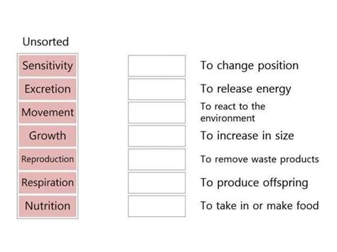 12 Mrs Gren Science Worksheet | Science worksheets, High school lesson plans, Science