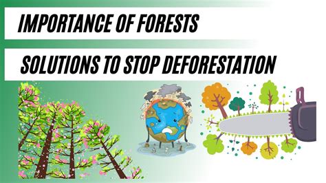 Deforestation Solutions