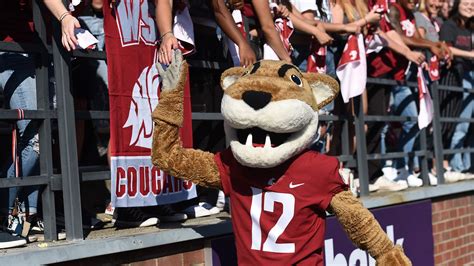 Daily Sports Smile: Washington State Cougars mascot arrives in Trojan ...