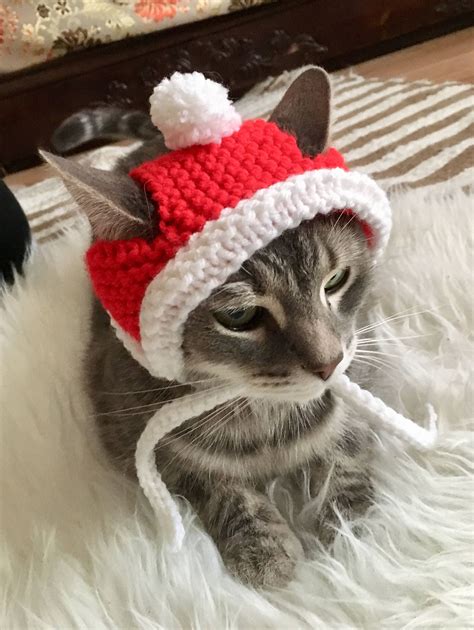 Santa Cat Hat Santa Hat Cat Hat Hat for Cats and Small - Etsy UK