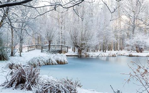 Winter Pond - campestre.al.gov.br