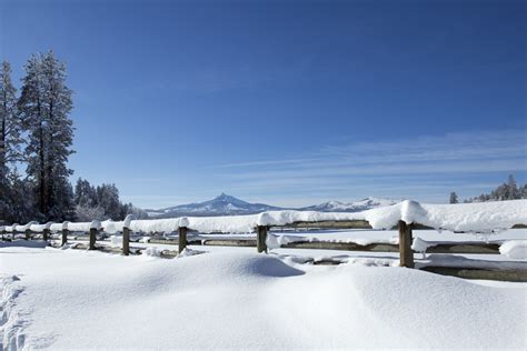 Scenic Winter Scene Free Stock Photo - Public Domain Pictures