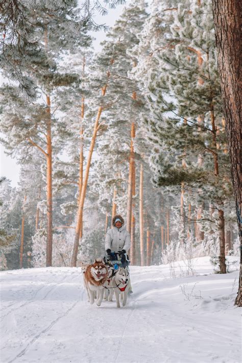 12 Best Things to Do in Lapland, Finland - Hand Luggage Only - Travel, Food & Photography Blog