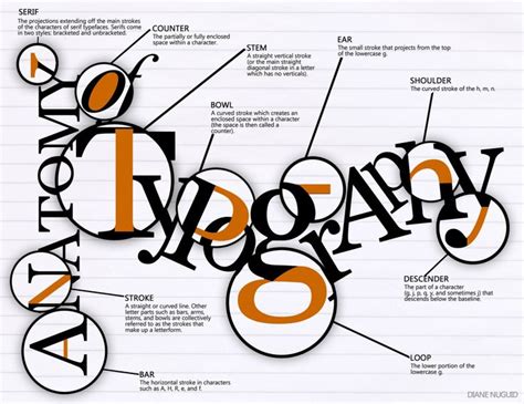 40 best images about Anatomy of type on Pinterest | Fonts, Typography and Typography tutorial