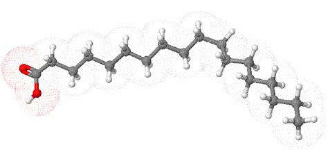 The 3D model of the structure of stearic acid. | Download Scientific ...