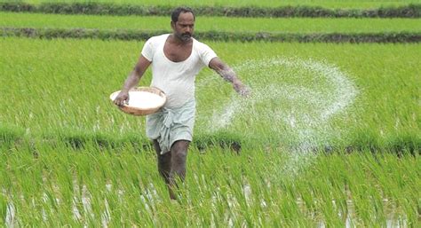 Rooting traditional methods, Himachal Pradesh switches to organic farming benefiting farmers ...