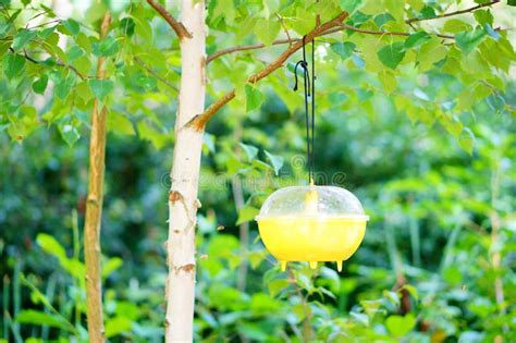 Bird Feeder Hanging from a Tree Branch with a Blurred Natural ...