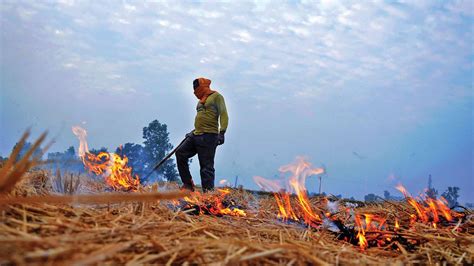 Stubble burning, an emerging health threat