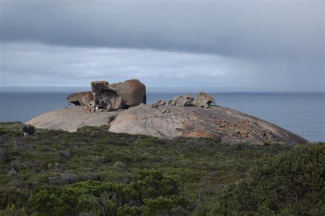 2024 One Day Kangaroo Island Highlights Tour - Kingscote