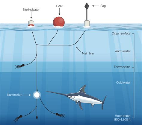 Reinventing California’s Swordfish Fishery – UCSC Science Notes