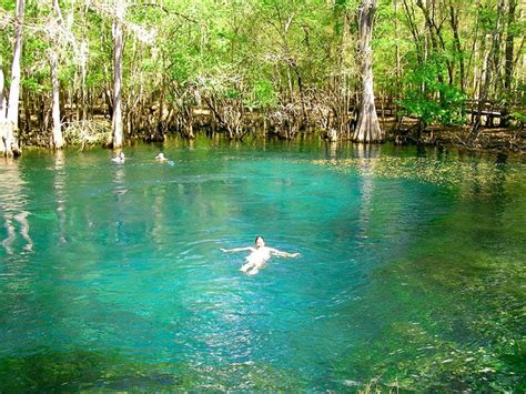 Chiefland, Florida, © Betsy Arvelo | Places, Travel, Florida