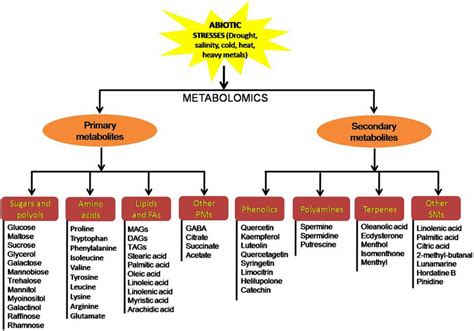 2. Various classes of key primary and secondary metabolites identified ...