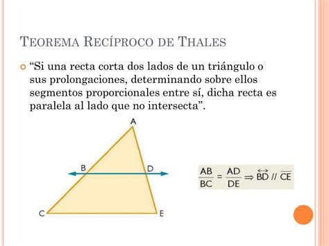 Teorema Lui Thales