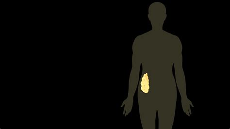 This Is Your Body on Inflammation