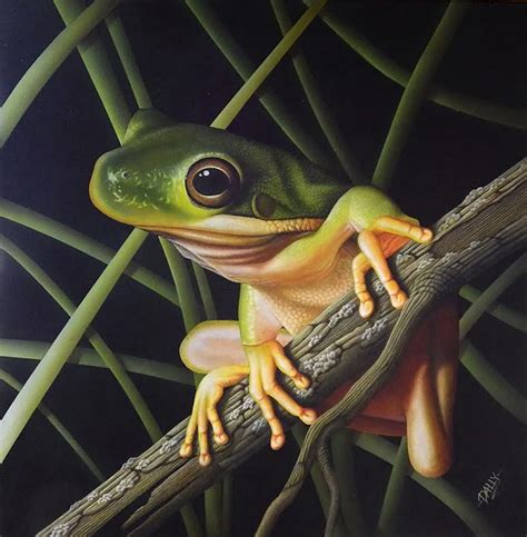 Tree frog acrylic painting critique | Lachri Fine Art