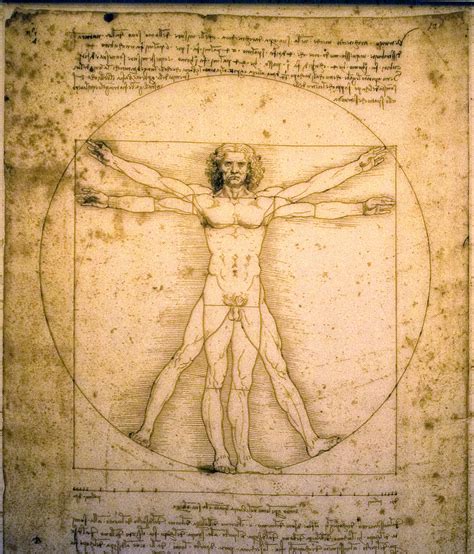 Lista 95+ Imagen De Fondo Hombre De Vitruvio Leonardo Da Vinci Alta ...