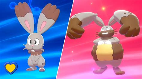 HOW TO Evolve Bunnelby into Diggersby in Pokémon Sword and Shield - YouTube