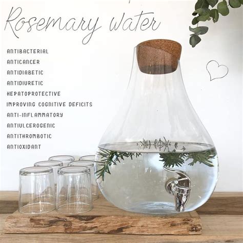 Rosemary water- the health benefits of herbs | Rosemary water, Infused water recipes ...