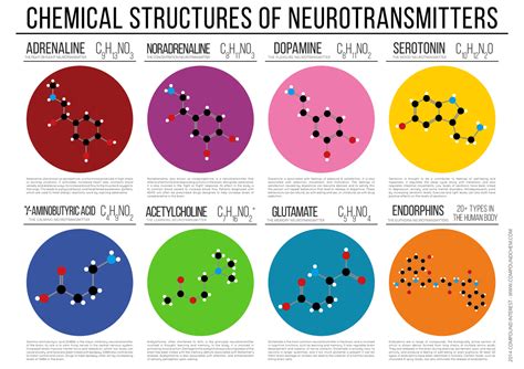 Chemical Activity In The Brain