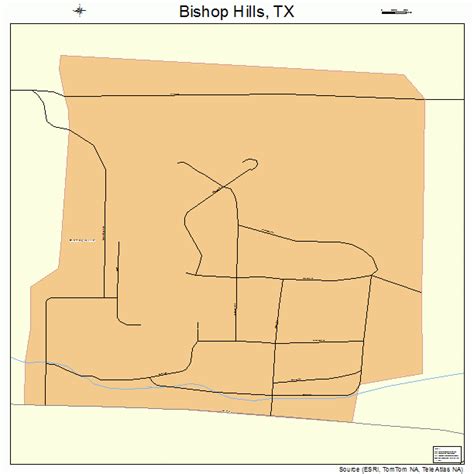 Bishop Hills Texas Street Map 4808398